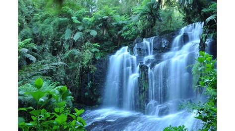 Download Tropical Rain Forest 4k Waterfall Wallpaper By Chads36