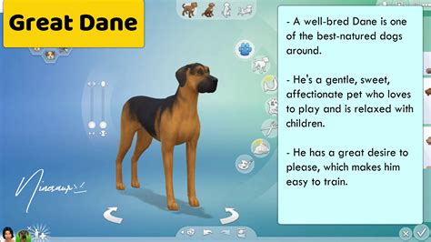Ninesaur 72 Large Dog Breeds Sims 4