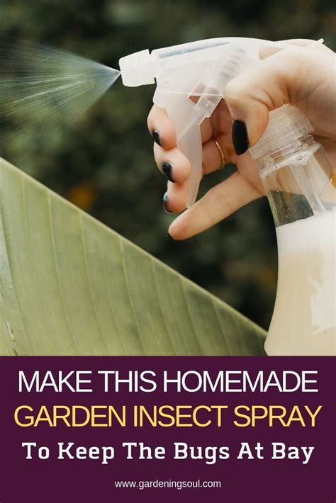 Make This Homemade Garden Insect Spray To Keep The Bugs At Bay Garden