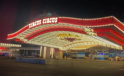 Beating The Odds In Las Vegas! — Follow Me North Pets