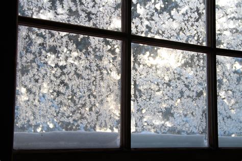 Frosted Windows Free Stock Photo Public Domain Pictures