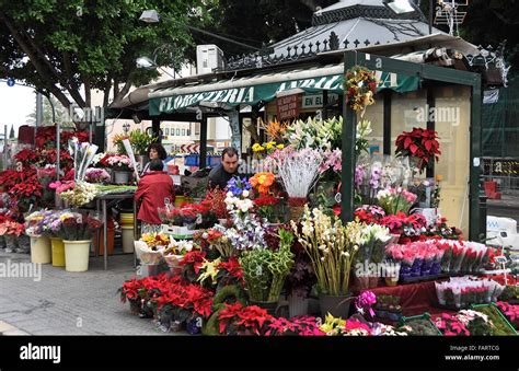 Daily Outdoor Flower Market Malaga Spanish Spain Andalusia Stock Photo