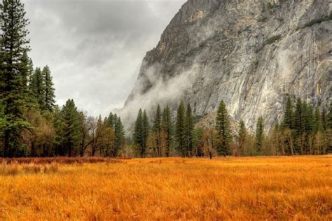 Yosemite National Park Sees 400 Acre Expansion Easyvoyage
