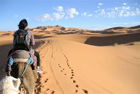 morocco travel 7 things i wish i knew before my trip pink pangea travel writing and retreats