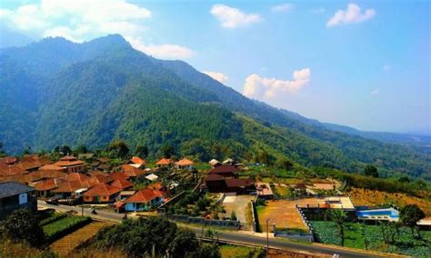 Desa setianegara terdiri dari beberapa dusun yaitu: Hutan Desa Setianegara - Desa setianegara terdiri dari ...