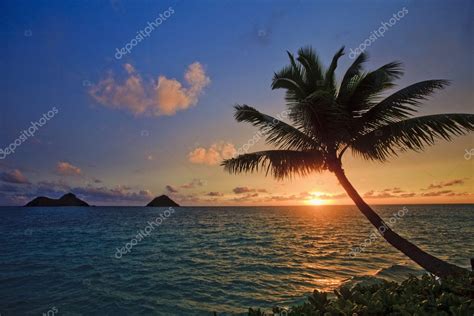 Pacific Sunrise At Lanikai — Stock Photo © Tomasfoto 2863176