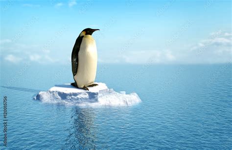 Single Penguin On A Piece Of Ice Stock Illustration Adobe Stock