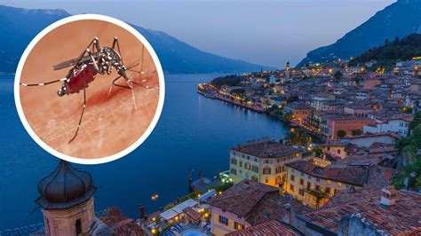 Mücken bringen Dengue-Fieber an den Gardasee: Beliebte Urlaubsziele in