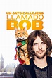 Ver Un gato callejero llamado Bob 2016 online HD - Cuevana