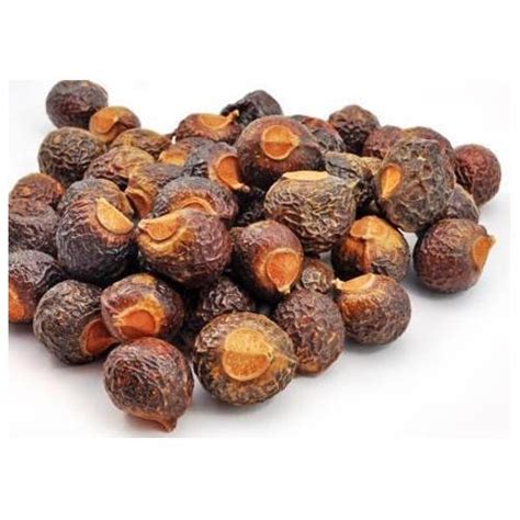 Natural Soap Nuts Packaging Size 20 Kg Packaging Type Pouch At Rs 500 Kilogram In Tindivanam