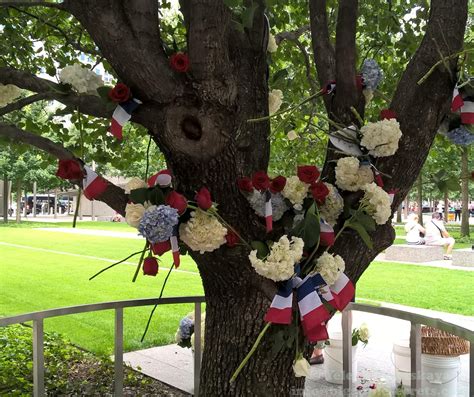Big Apple Secrets The Survivor Tree At The 911 Memorial Plaza