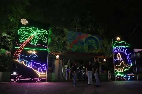 Surabaya Night Zoo Dibuka 25 Juni Keliling Kbs Sejam Rp100 Ribu