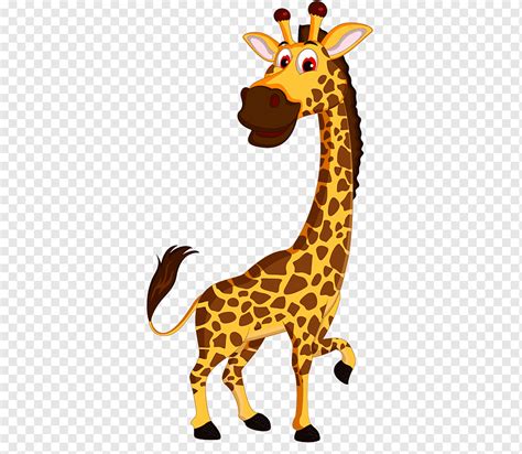Cartoon Zoo Illustration Lively Giraffe Mammal Animals Giraffe Png
