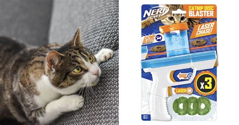 Nerf Launches Blaster For Cats That Shoots Catnip Discs 9gag