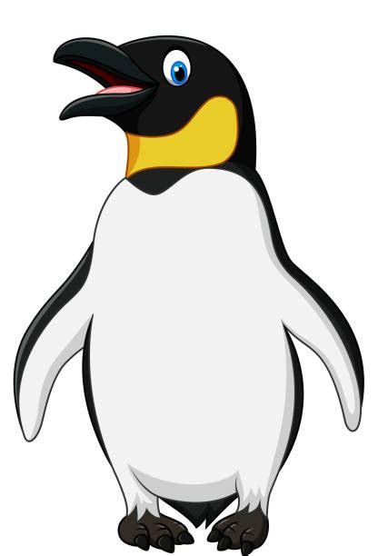 King Penguin Illustrations Royalty Free Vector Graphics And Clip Art