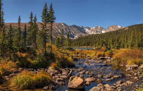 Wallpaper Forest Mountains Stream Colorado Panorama River