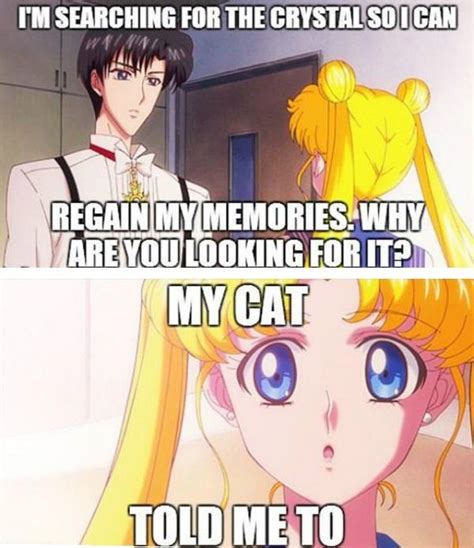 bishoujo senshi sailor moon crystal usagi tsukino mamoru chiba meme sailor moon funny