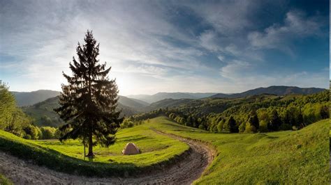 Nature Landscape Spring Forest Mountain Path Morning