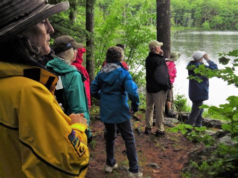 Andover Institute Offers Hike At Elbow Pond The Andover Beacon