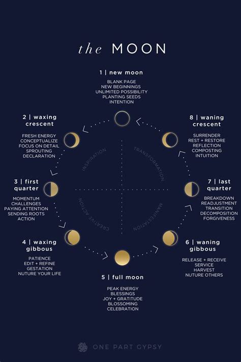 A Comprehensive Lunar Guide Describing Each Of The Moon Phases And How