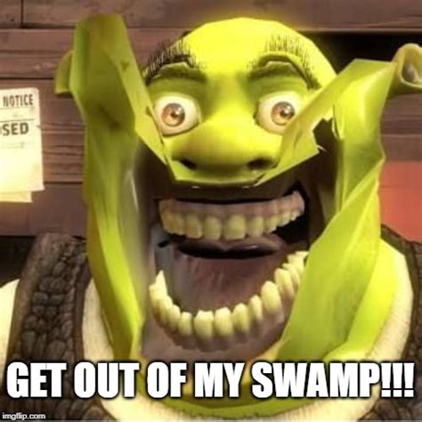 50 Shrek Get Out Of My Swamp  108230 Shrek Get Outta My Swamp