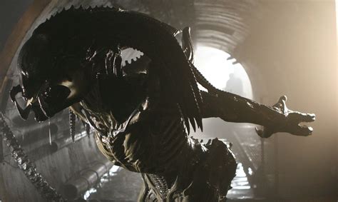 AVPR: Aliens vs Predator - Requiem --- The Predalien by Amalgamated