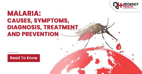 Malaria Causes Symptoms Diagnosis Treatment And Prevention