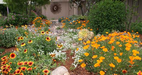 Design A Native Garden Water News Network Our Regions Trusted