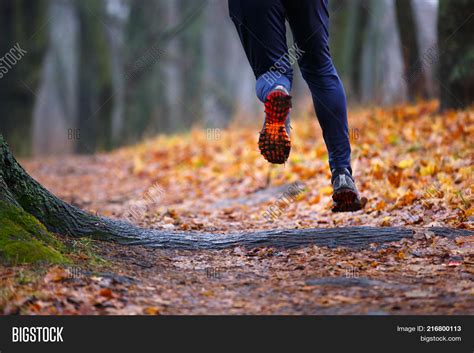 Autumn Trail Running Image And Photo Free Trial Bigstock