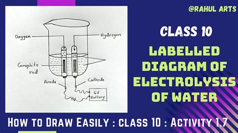 Diagram Of Electrolysis Of Water How To Draw A Neat Labelled Diagram Of Electrolysis Of Water