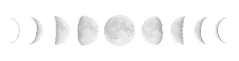 White Moon Phases Transparent Background Transparent Png Download