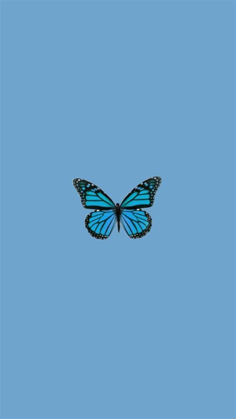 Blue Butterfly Profile Pic Aesthetic Iwannafile