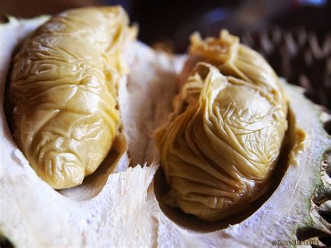 Top 5 Places To Eat Durian In Penang - Penang Foodie