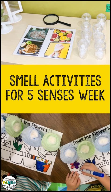 Are You Doing The Five Senses Week Or Theme You Will Need To