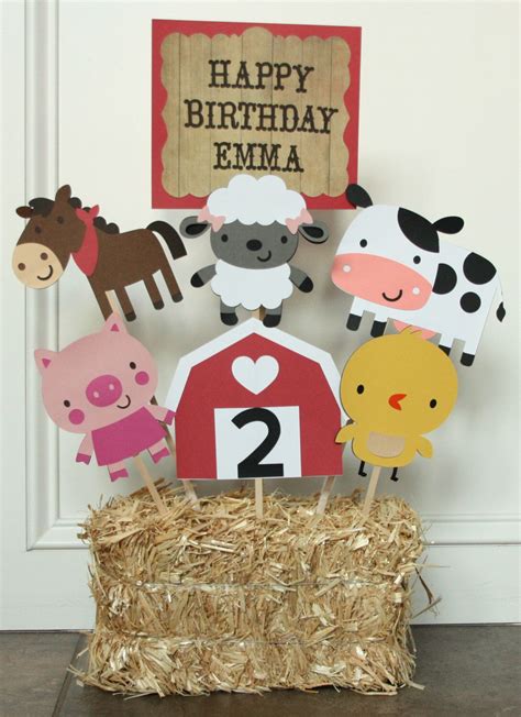 Farm Animal Birthday Party Girl Health