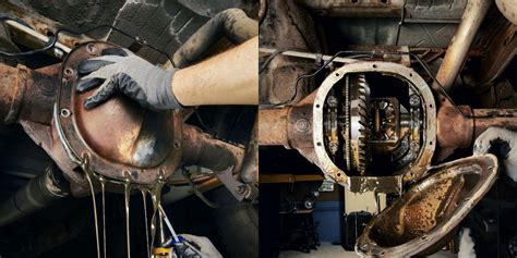 Car Differential How To Maintain Your Cars Differential
