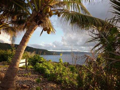 Located 1500 km from the australian mainland, christmas island is a remarkable ecotourism destination. Christmas Island Is Real—Here's Why You Should Go - Condé ...