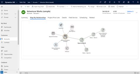 Map My Relationships A Smart Way To Visualize Dynamics 365 Crm Entity