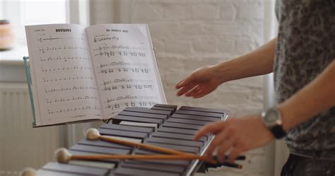 Man Playing A Wooden Xylophone And Turning His Musical Sheets · Free