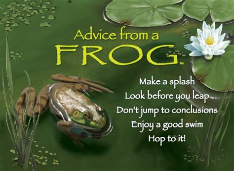 Look Before You Leap Advice From A Frog Frog Quotes Frog