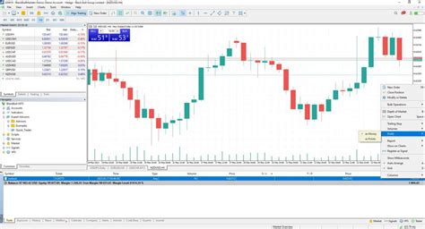 How To View Profits As Points Or Pips In Mt5 Blackbull Markets