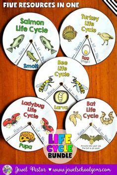 Despite the fact that effective control is available, they continue to cause outbreaks, often resulting in significant crop loss. Lap book Template | Marienkäfer kindergarten, Frühling im ...