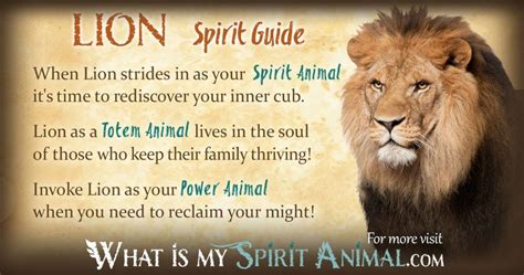 How To Unleash Your Power Animal But Be Careful What Is My