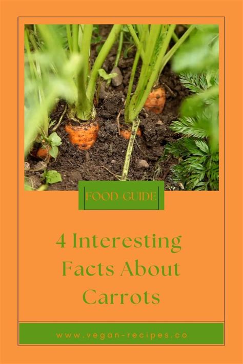 Some Interesting Facts About Carrots Video Carrot Benefits Eating