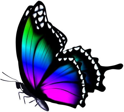 Colorful Butterfly PNG Clip Art Image | Butterfly art painting png image