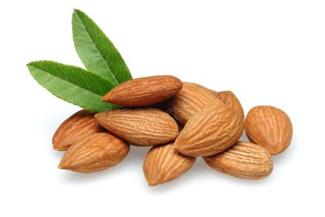 Almond Stock Image Image Of Fruit Bunch Objects Nevinates 24801147