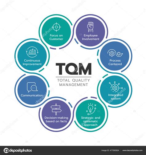 Gráfico Diagrama Tqm Gestão Total Qualidade Com Módulo Ícone Projeto