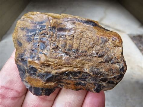 Bandcamp new & notable aug 11, 2020. Archaeology of Portable Rock Art: Colorado petrified wood ...