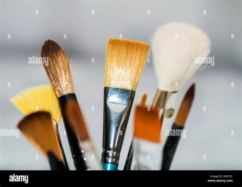 Selection Of Paintbrushes Stock Photo Alamy