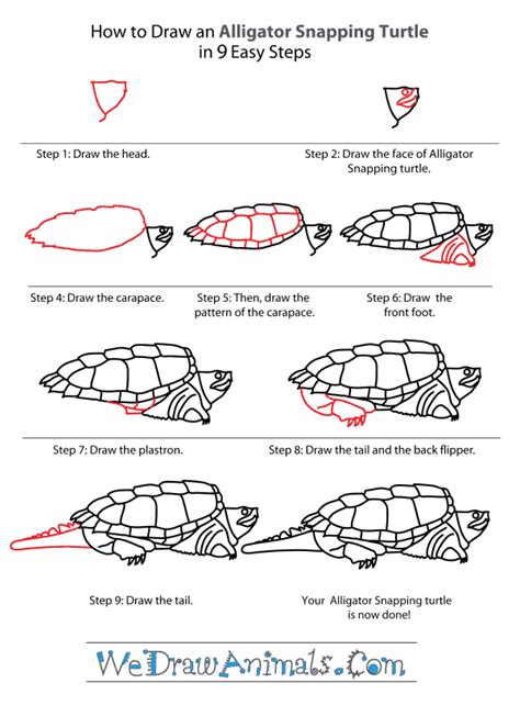 Https://tommynaija.com/draw/how To Draw A Alligator Snapping Turtle